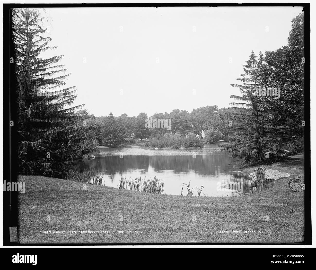Forest Hills Cemetery, Boston, Lake Hibiscus, tra il 1890 e il 1901. Foto Stock