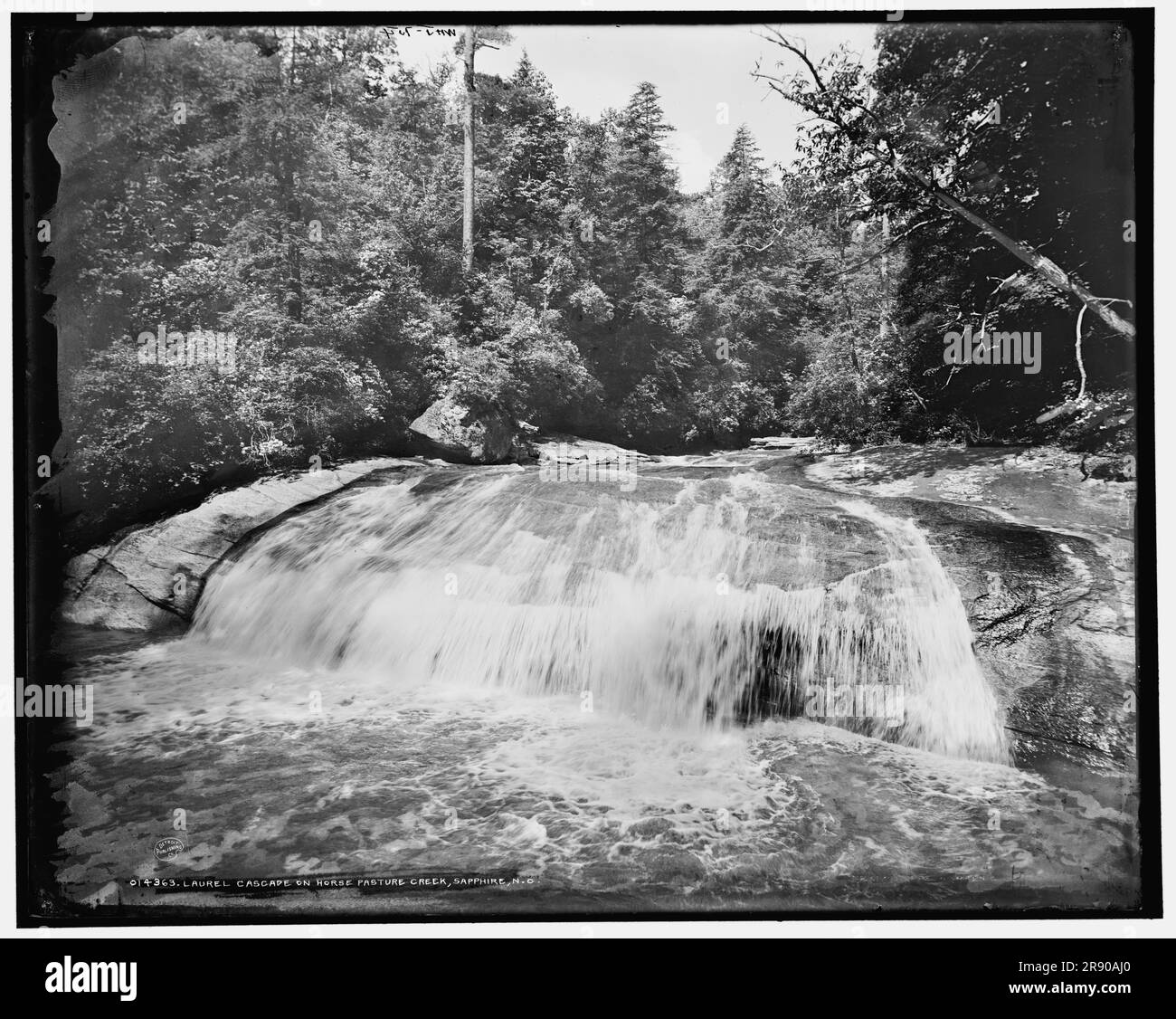 Laurel Cascade on Horse Pasture Creek, Sapphire, N.C., (1902?). Foto Stock