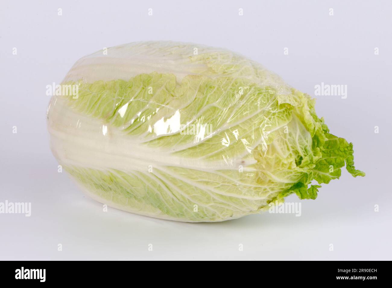 Brassica rapa (Brassica rapa pekinensis) in pellicola di plastica, cavolo di Pechino, cavolo giapponese, cavolo di sedano, pellicola di plastica Foto Stock