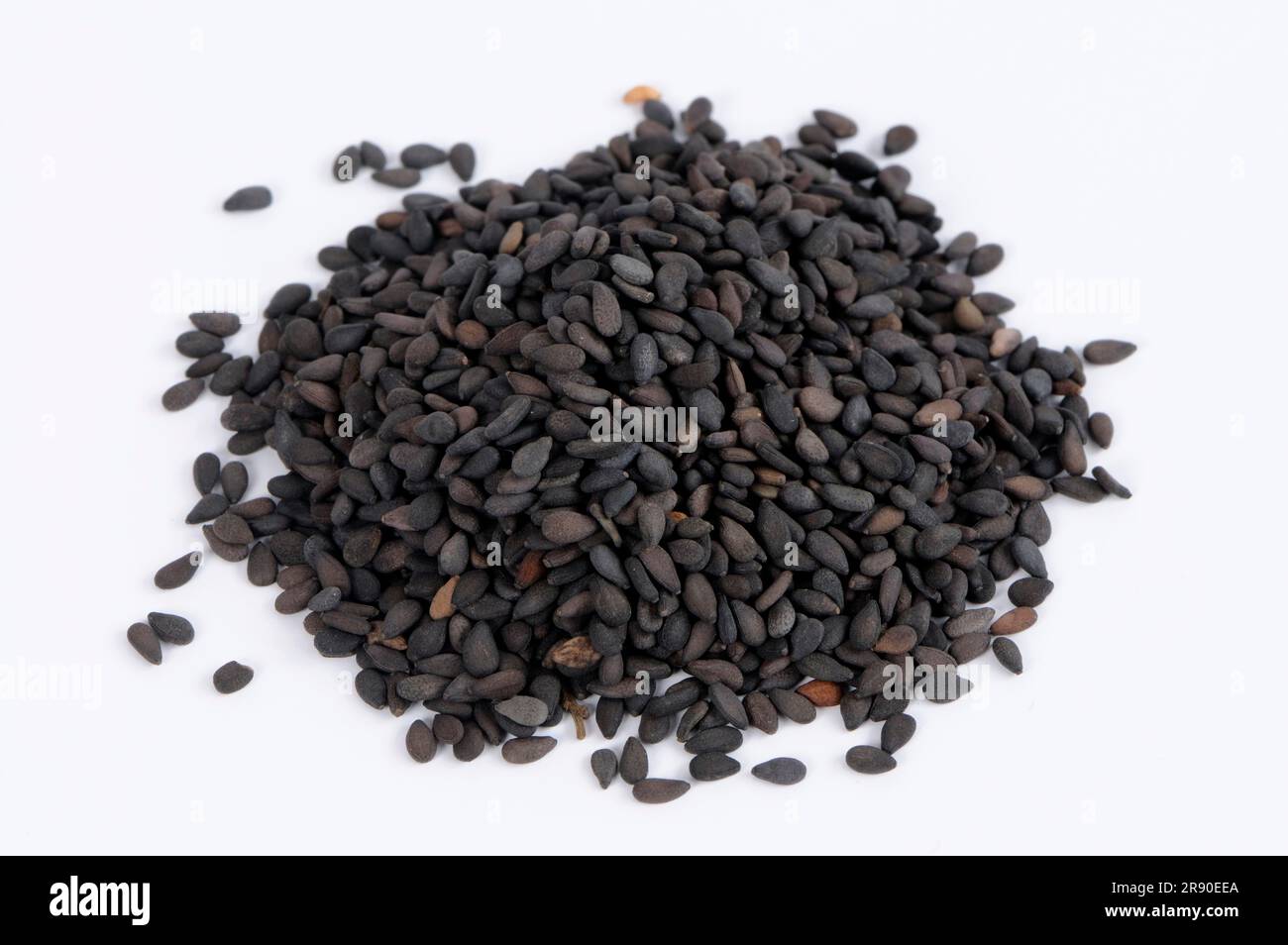 Sesamo nero (Sesamum indicum) Foto Stock