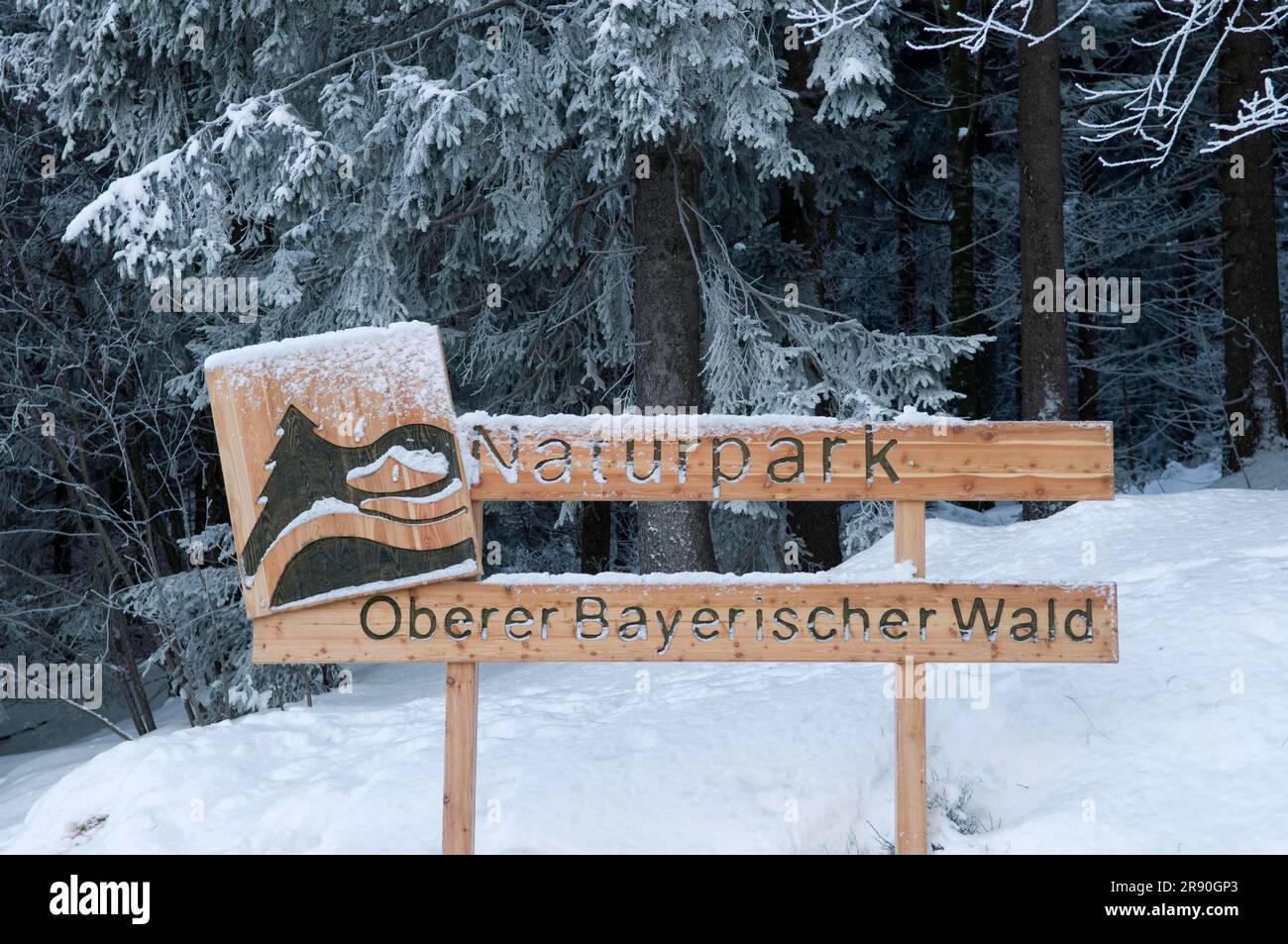 Parco naturale Upper Bavarian Forest, Bavaria, Germania Foto Stock