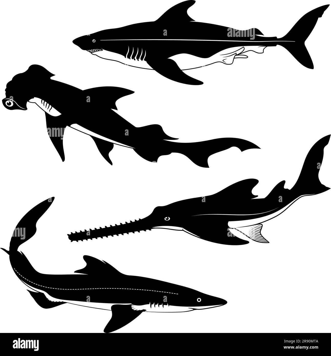 Sagome delle specie di squalo. Spurdog, Hammerhead, sega, spinaroli. Clipart vettoriali. Illustrazione Vettoriale