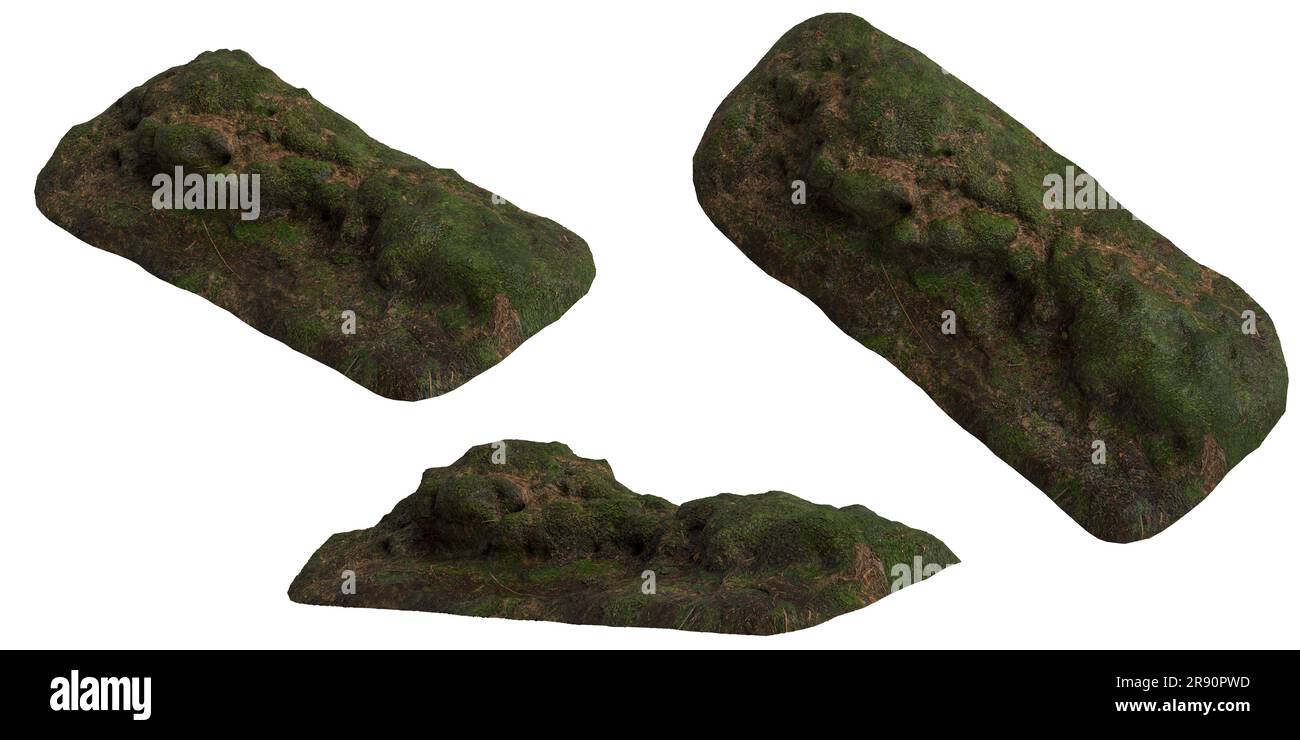 3d illustrazione di terra, muschio coperto a secco isolato su sfondo bianco Foto Stock