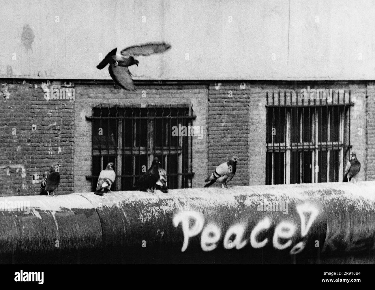 Pace! Colombe sul muro di Berlino Foto Stock