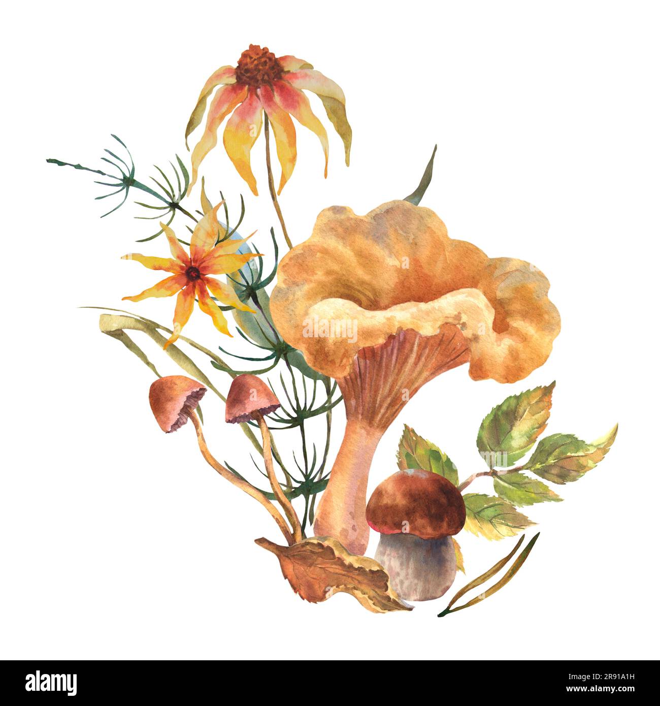 Composizione autunnale acquerello in stile vintage. Illustrazione dipinta a mano con erbe, fiori, foglie e funghi in colori tenui su bianco Foto Stock