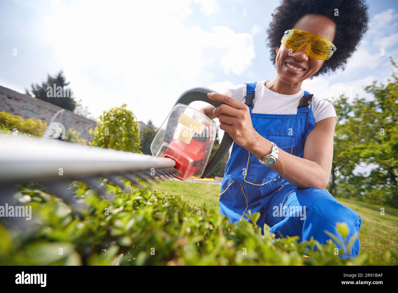 La donna indossa con sicurezza un rifinitore di precisione mentre forma abilmente una siepe vivace. Con una mano ferma e uno sguardo concentrato, non ha problemi Foto Stock
