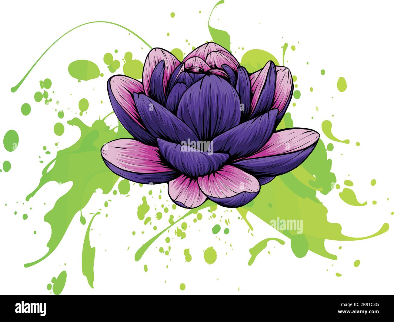 Illustrazione vettoriale di Lily Lotus isolato su sfondo bianco Illustrazione Vettoriale