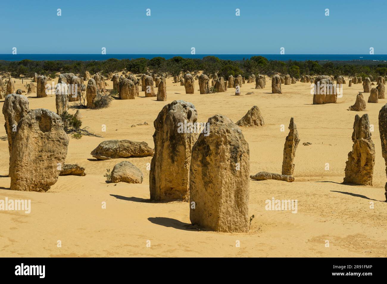 Le incredibili formazioni rocciose del parco nazionale Pinnacles nell'Australia Occidentale Foto Stock