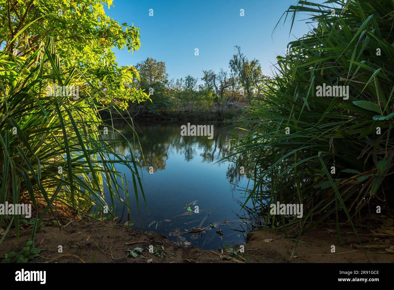 Splendida vista sulla natura vicino al fiume Chamberlain in un campeggio vicino alla Gibb River Road nell'Australia Occidentale Foto Stock