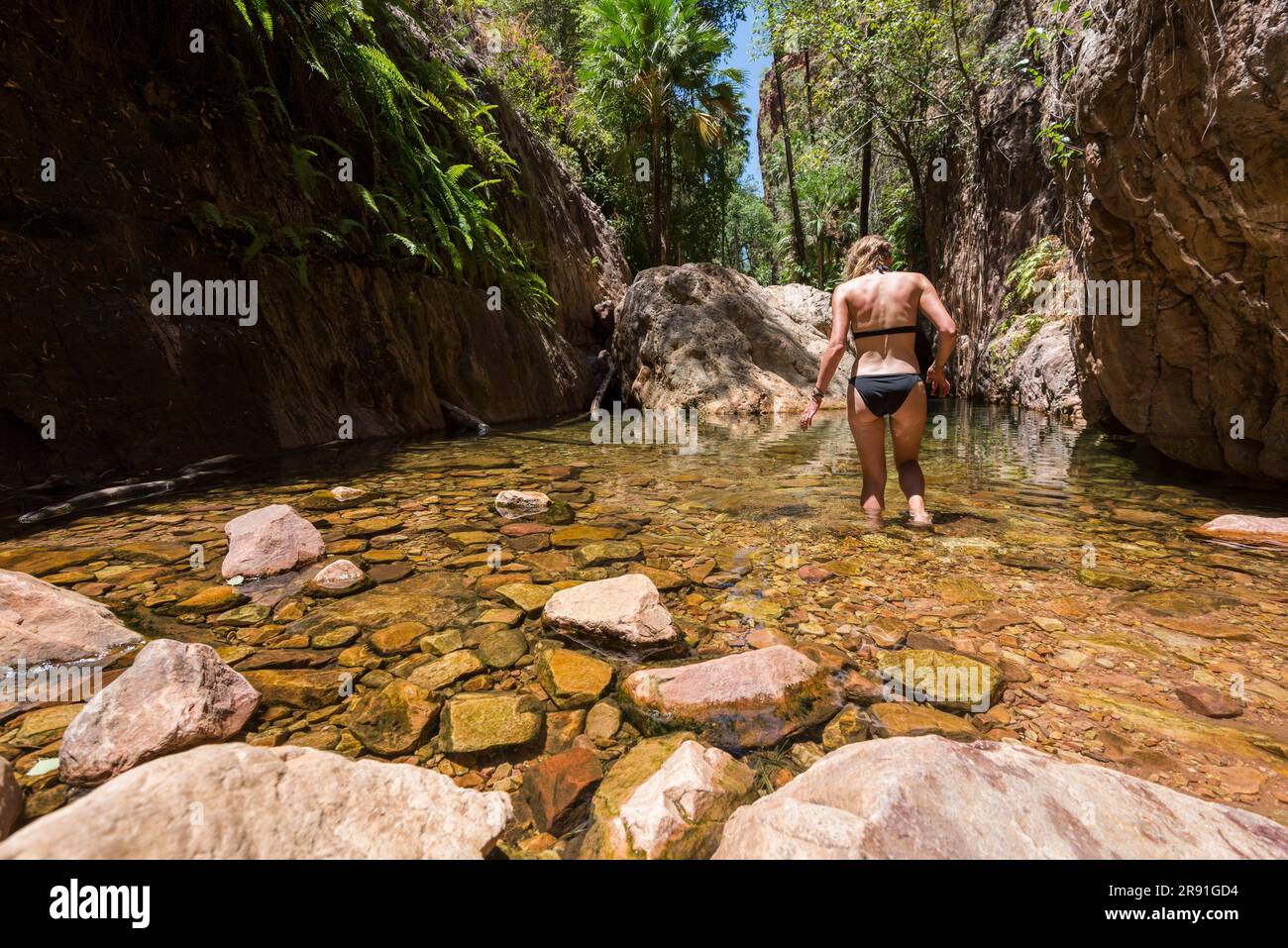Australian bikini immagini e fotografie stock ad alta risoluzione - Alamy