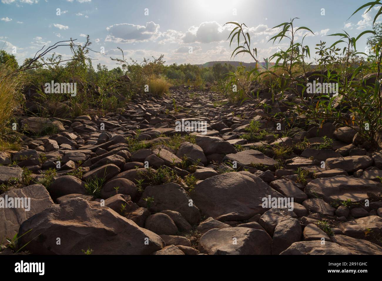 Una vista ravvicinata di una pista rocciosa molto aspra nell'entroterra dell'Australia Occidentale in Australia Foto Stock