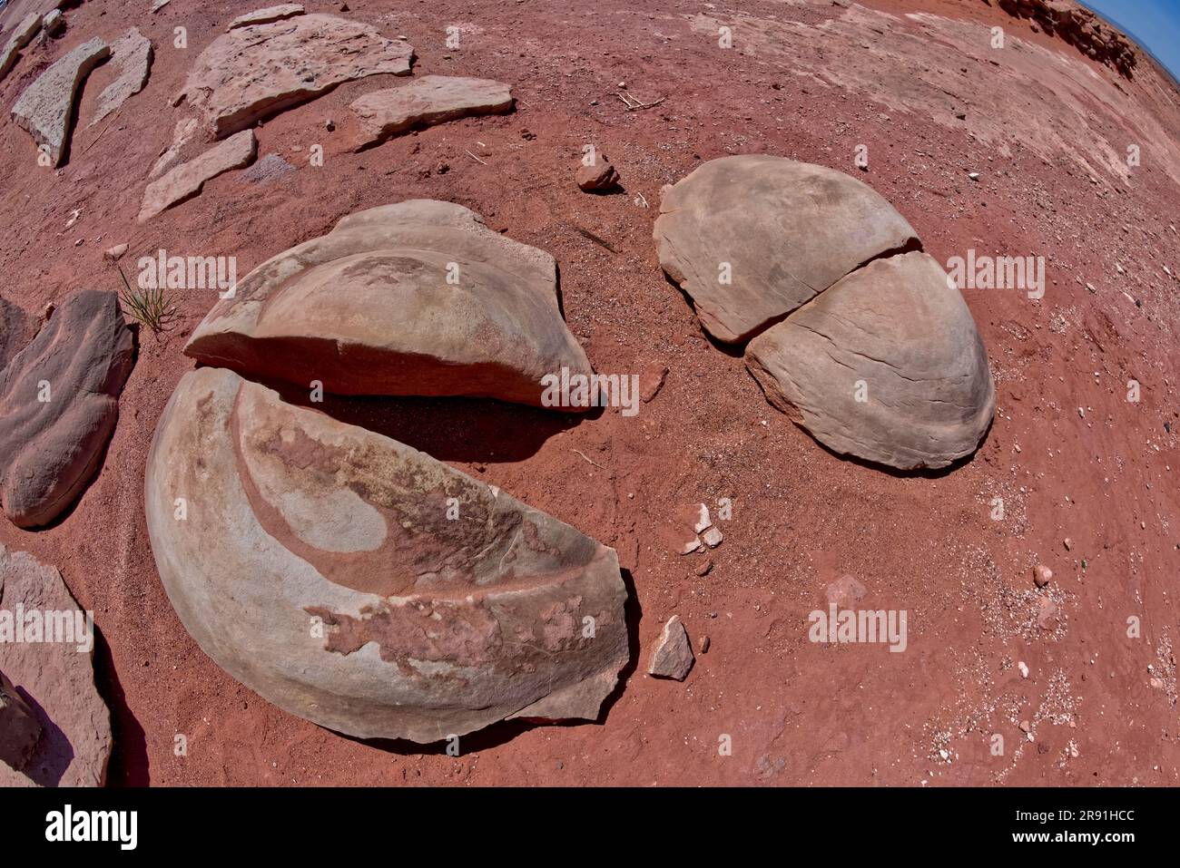 Fossili di coprolite di dinosauri tra le tracce dei dinosauri presso un'attrazione turistica vicino a Tuba City, Arizona, nella riserva indiana Navajo. Foto Stock