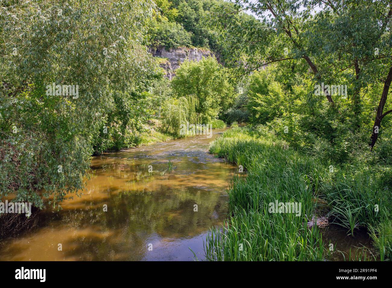 Vista sul fiume Smotrych nel canyon. Kamianets-Podilskyi, Ucraina. Foto Stock