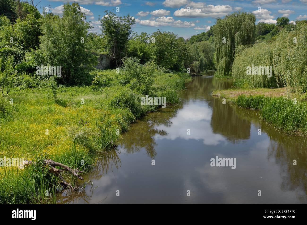 Vista sul fiume Smotrych nel canyon. Kamianets-Podilskyi, Ucraina. Foto Stock