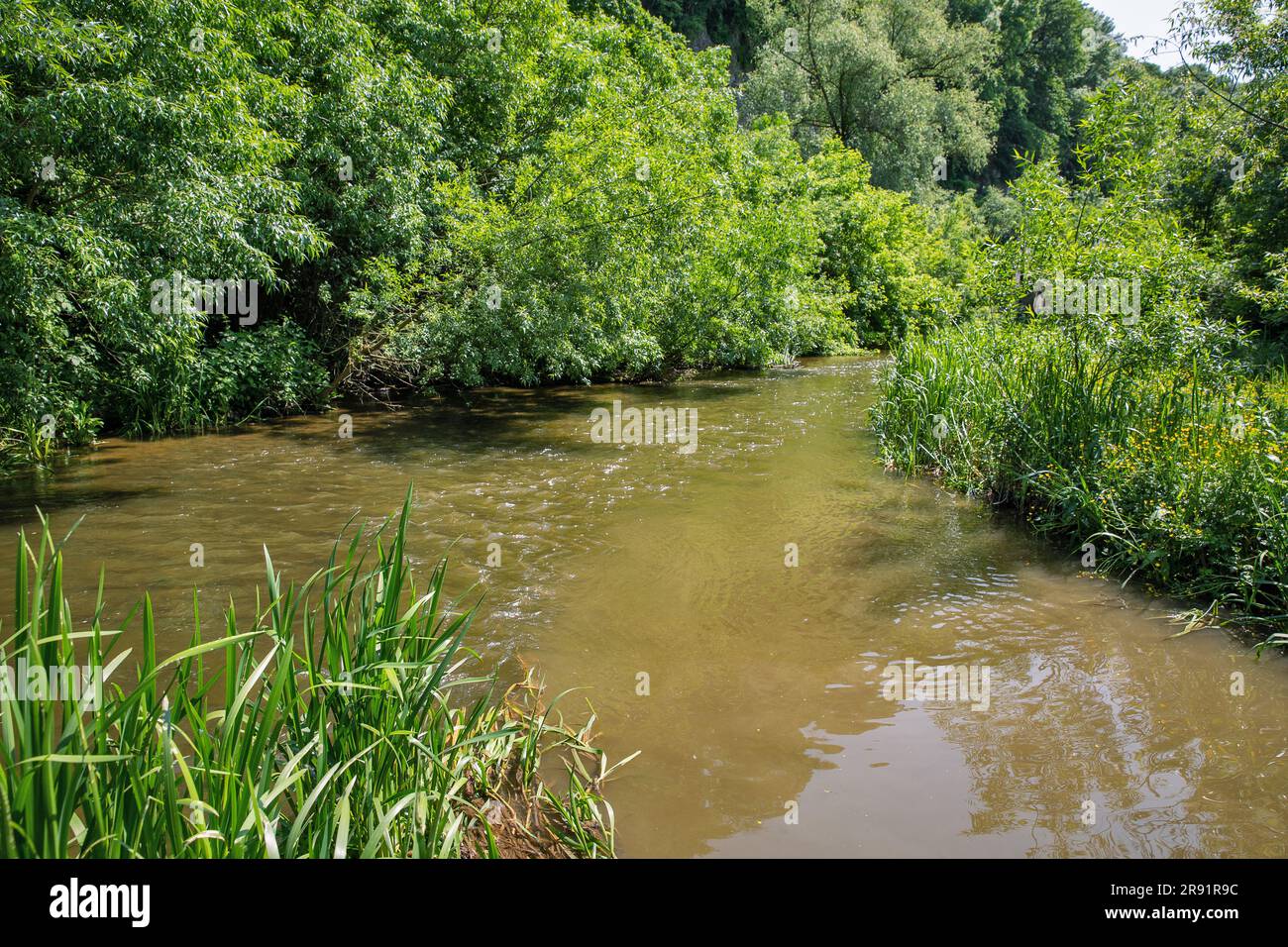 Vista sul fiume Smotrych nel canyon. Kamianets-Podilskyi, Ucraina. Foto Stock