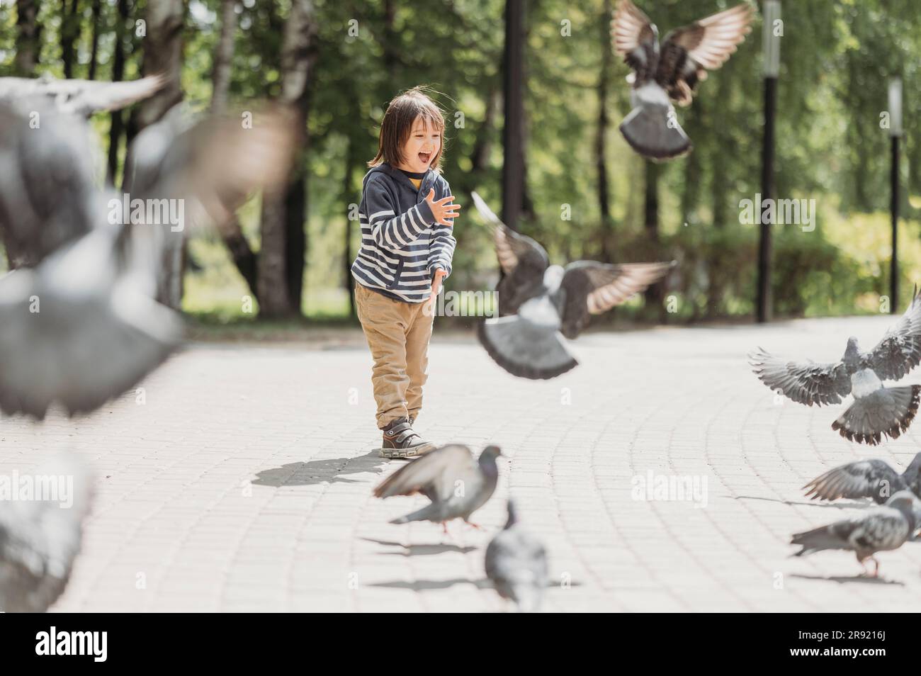 Ragazzo che urla tra piccioni che volano al parco Foto Stock