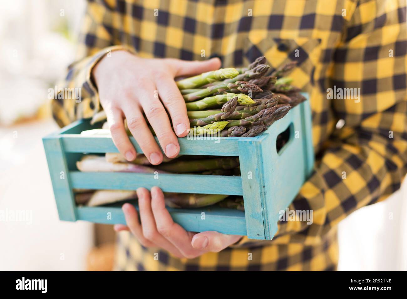 Uomo che porta un mucchio di asparagi in una cassa di legno Foto Stock