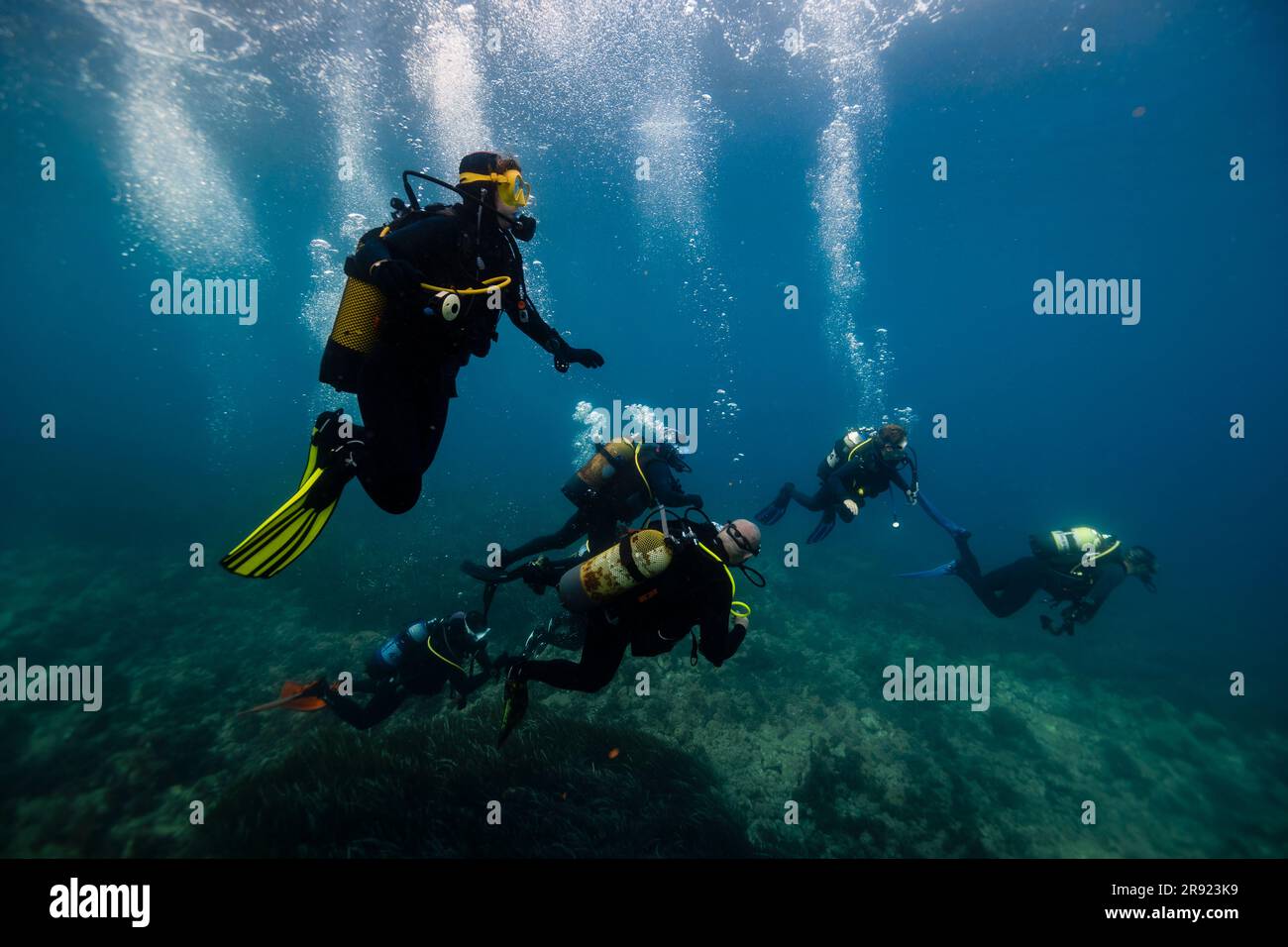 Gli amici fanno immersioni insieme in mare Foto Stock