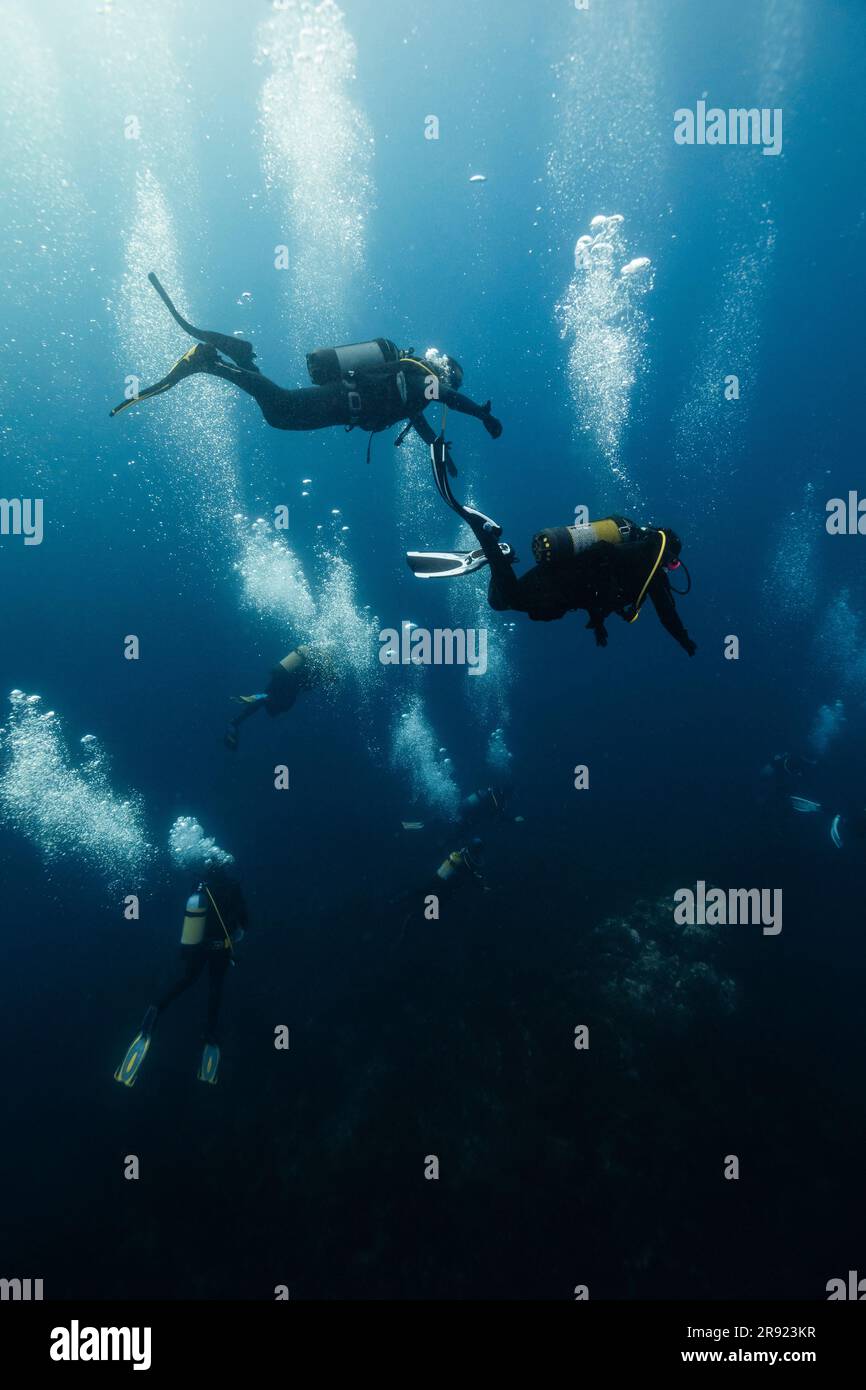 Uomini e donne che fanno immersioni in mare Foto Stock