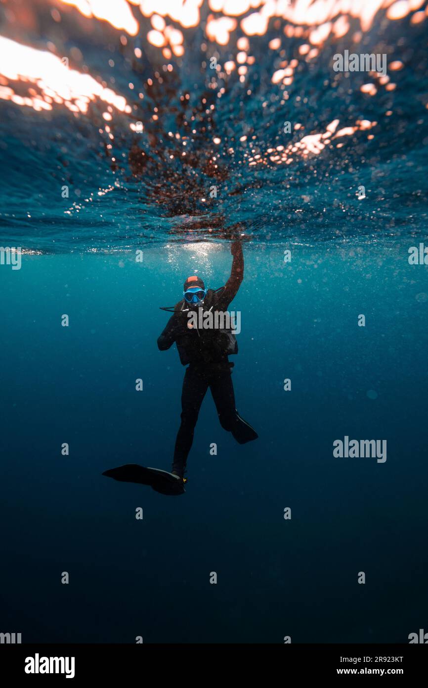 Immersioni subacquee subacquee per giovani Foto Stock
