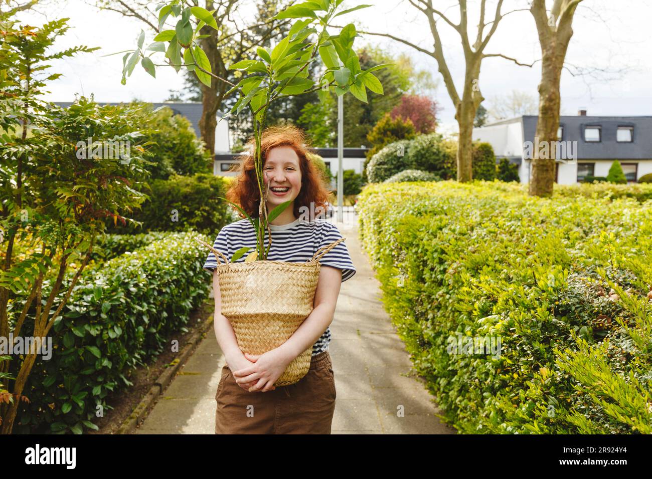 Ragazza felice in piedi con una pianta di avocado sul sentiero Foto Stock