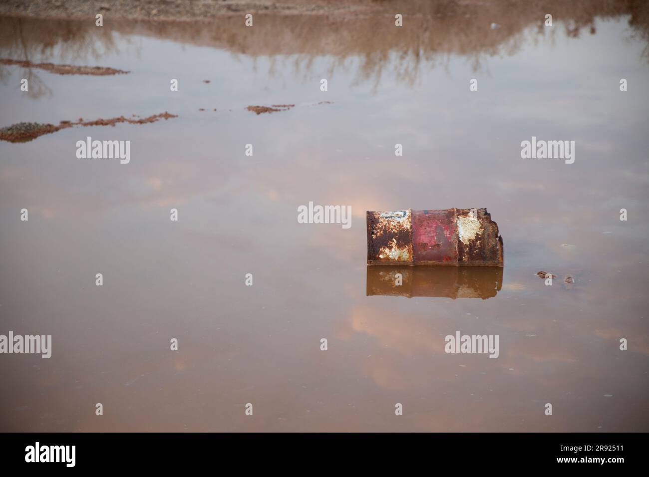 Canna arrugginita nell'acqua contaminata del Mar morto, Israele Foto Stock