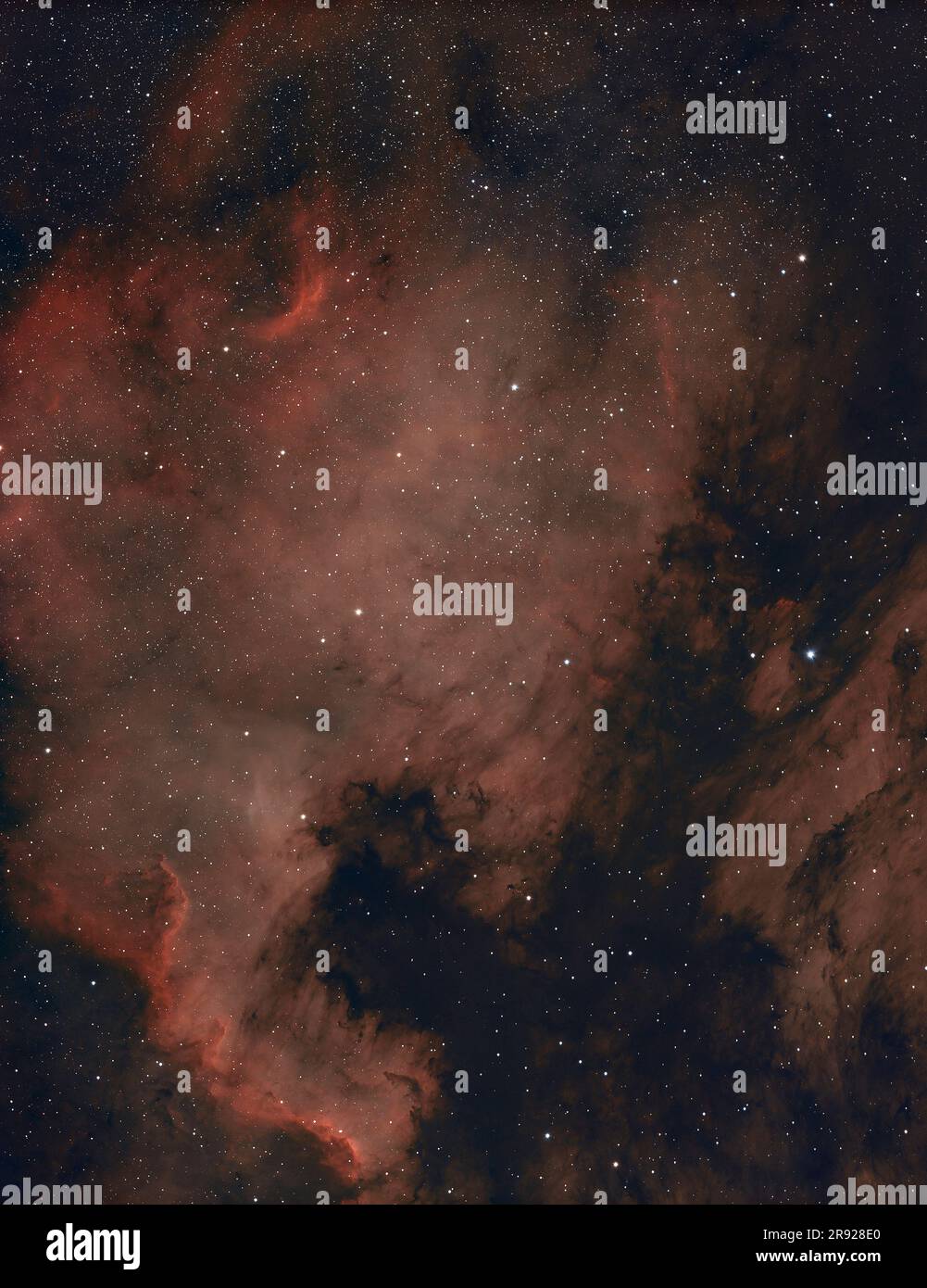 Nebulosa del Nord America nella costellazione del Cigno Foto Stock