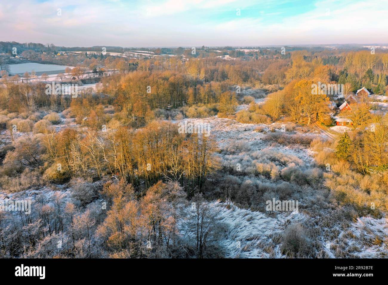 Hammer Moor in Winter, Aerial View, Germany, Schleswig-Holstein, Herzogtum Lauenburg, Panten Foto Stock