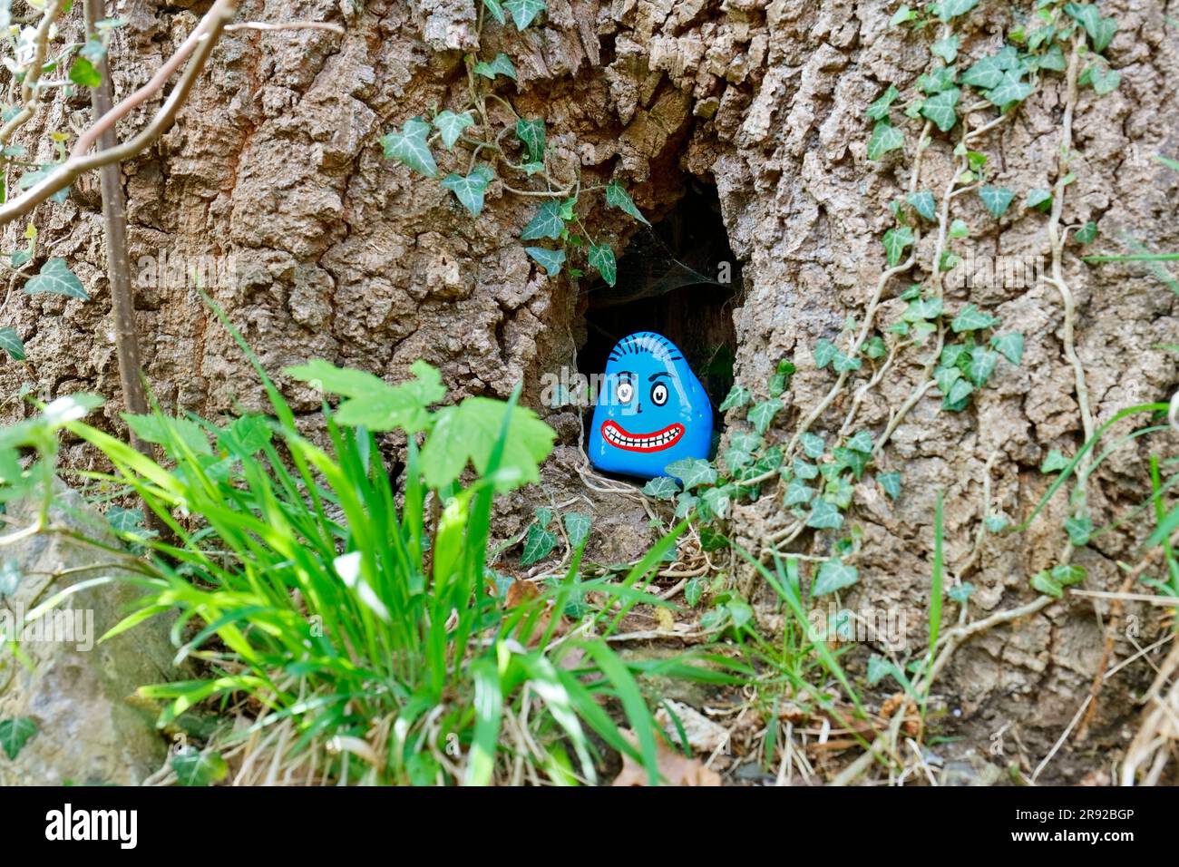 Divertente roccia dipinta che guarda fuori da un buco d'albero, Germania Foto Stock