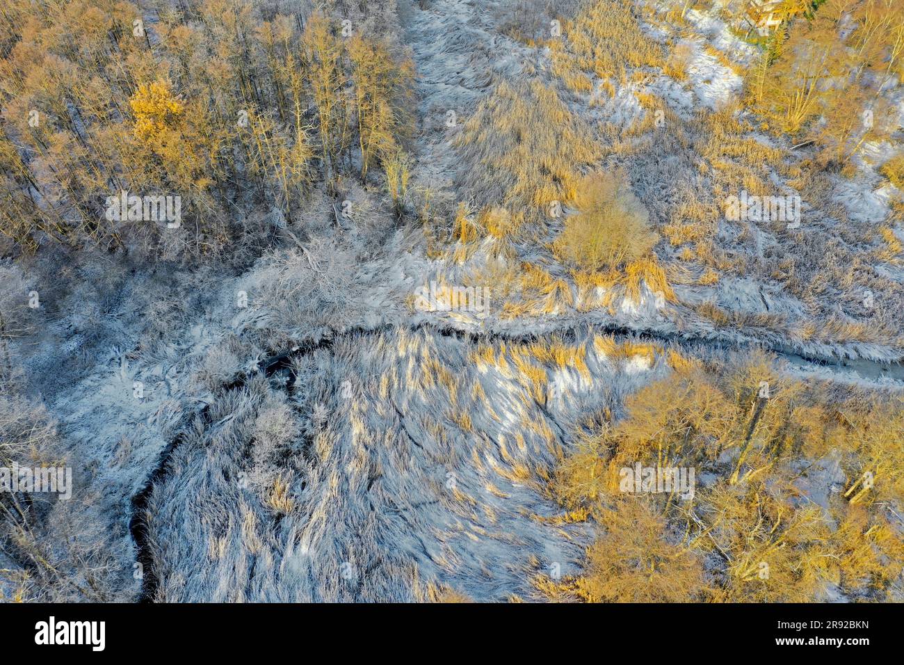 Hammer Moor in Winter, Aerial View, Germany, Schleswig-Holstein, Herzogtum Lauenburg, Panten Foto Stock