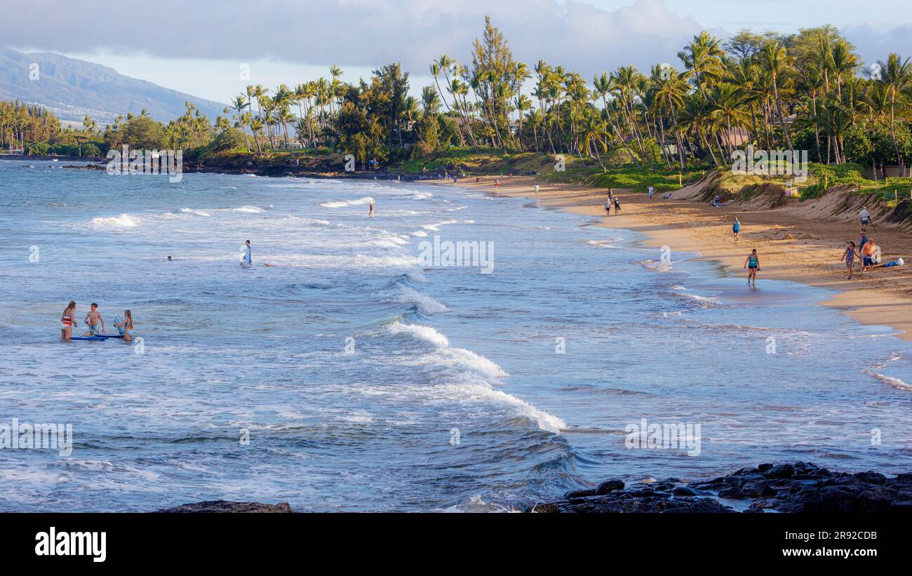Spiaggia sabbiosa con palme da cocco, pochi turisti che si bagnano sulla spiaggia di sabbia dorata, USA, Hawaii, Maui, Kihei Foto Stock
