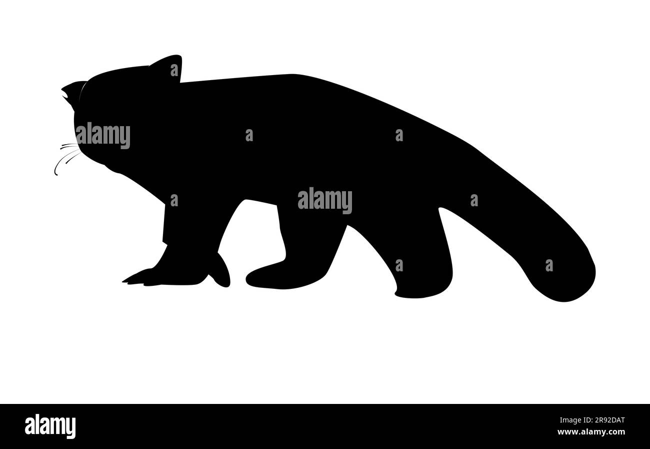Silhouette nera di un panda rosso, un raro animale, vettore isolato su sfondo bianco Illustrazione Vettoriale