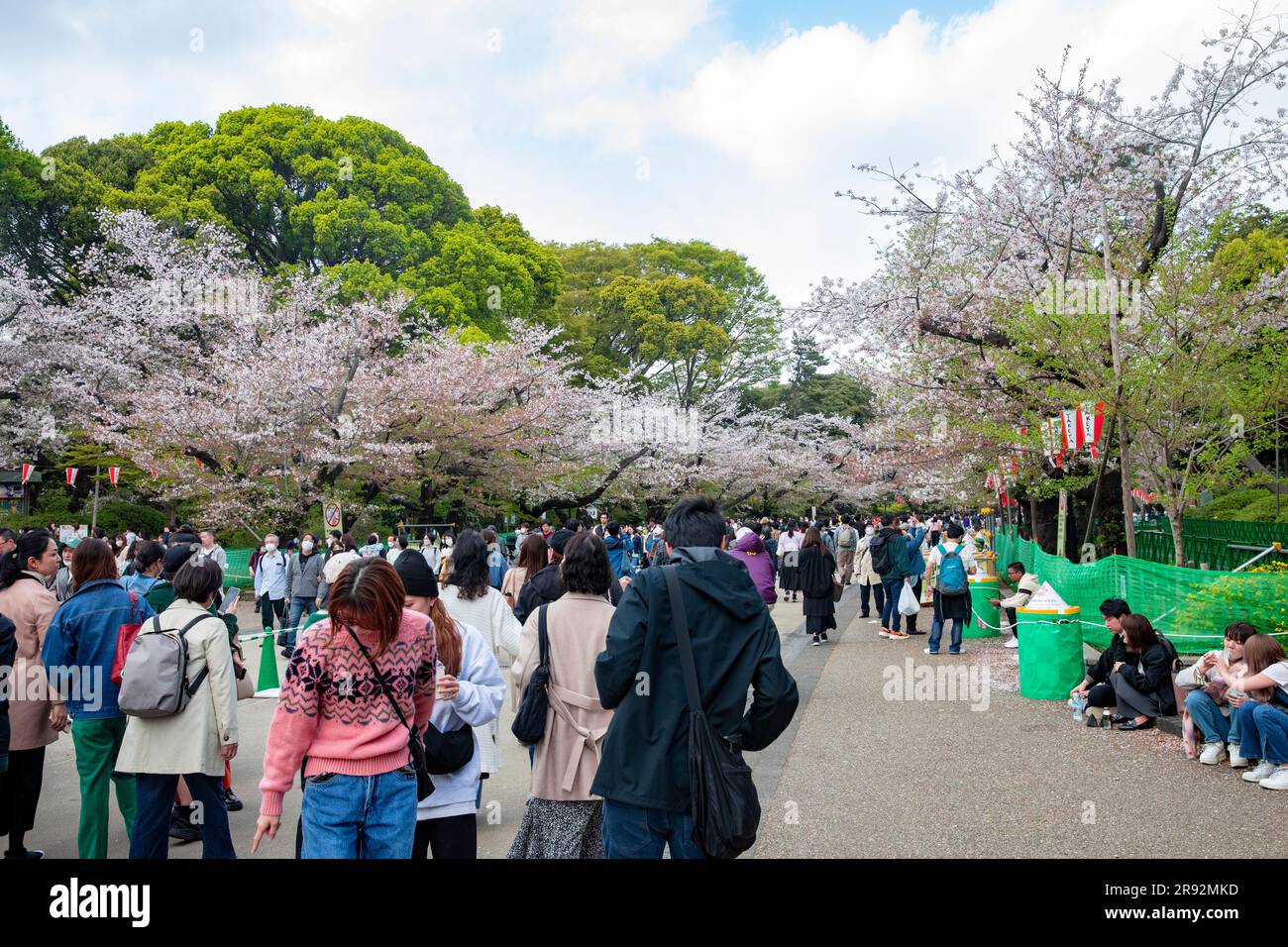Ueno Park Tokyo Japan 2023, la gente cammina attraverso il parco per vedere la fioritura dei ciliegi nella primavera 2023, Giappone, Asia Foto Stock