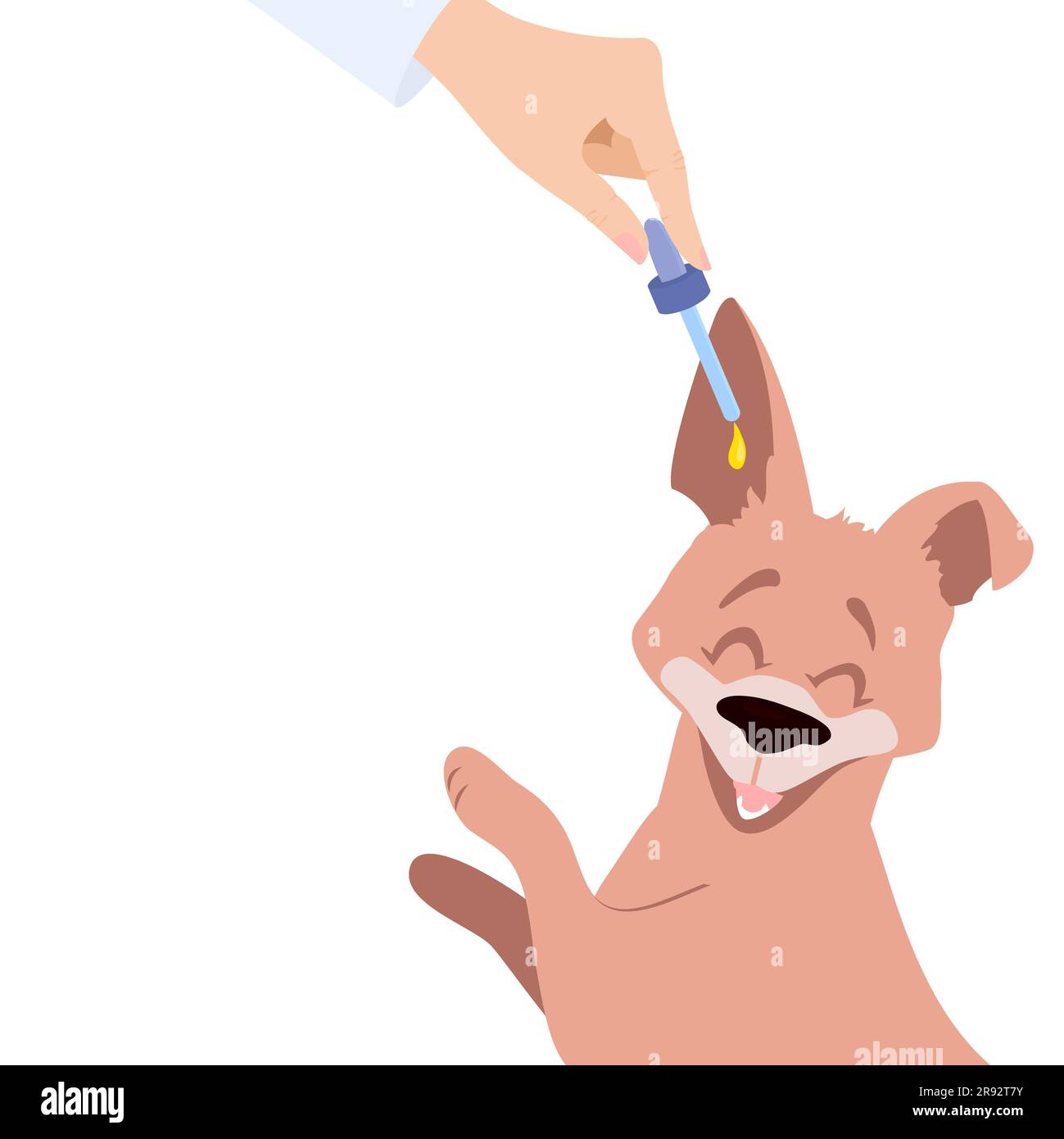 Trattamento dell'infezione dell'orecchio del cane, illustrazione Foto Stock