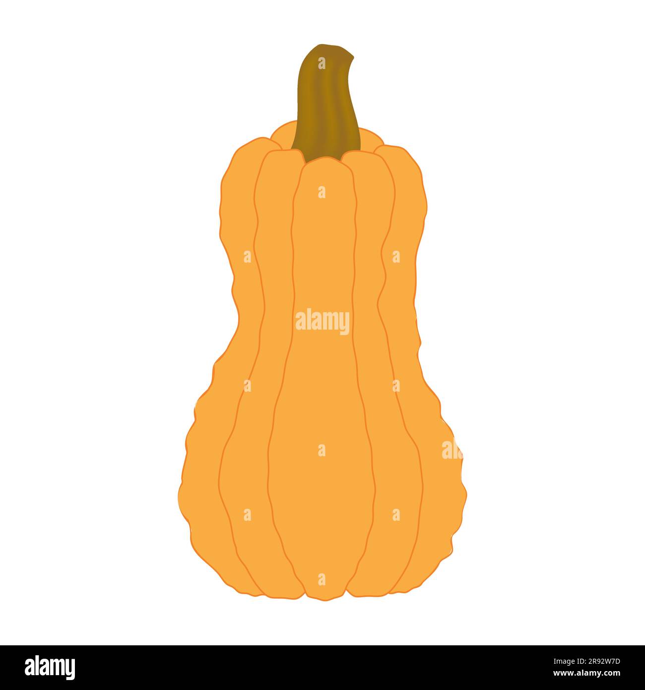 Elemento di design della zucca illustrazione della zucca per Halloween e il giorno del Ringraziamento prodotto della fattoria illustrazione vettoriale isolata su sfondo bianco Illustrazione Vettoriale