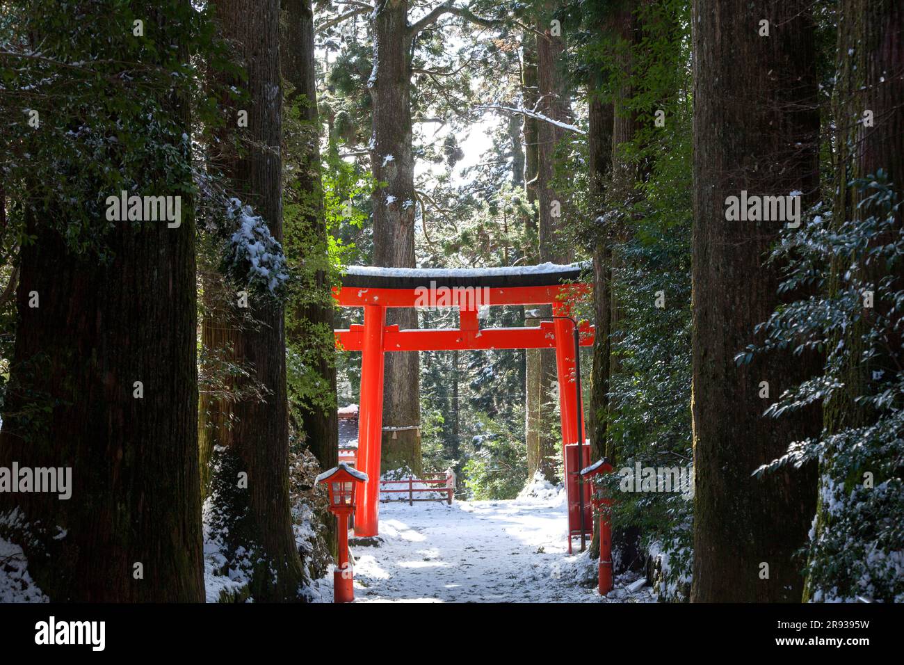Avvicinati e porta torii al Santuario di Hakone Foto Stock