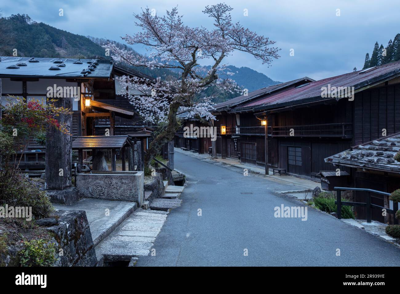 Vista notturna di Tsumagojyuku in fiore di ciliegio Foto Stock