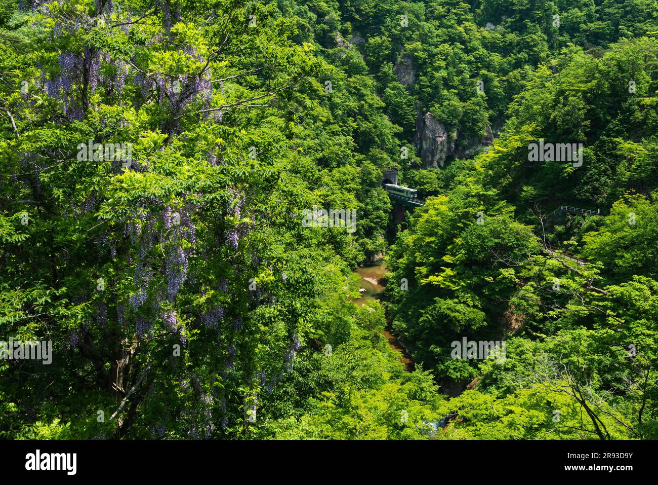 Naruko Gorge Foto Stock