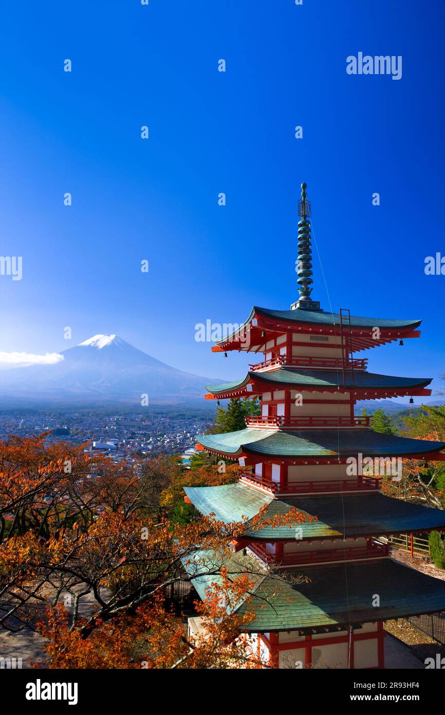 L'autunno parte al santuario Niikura Asama e al monte Fuji Foto Stock