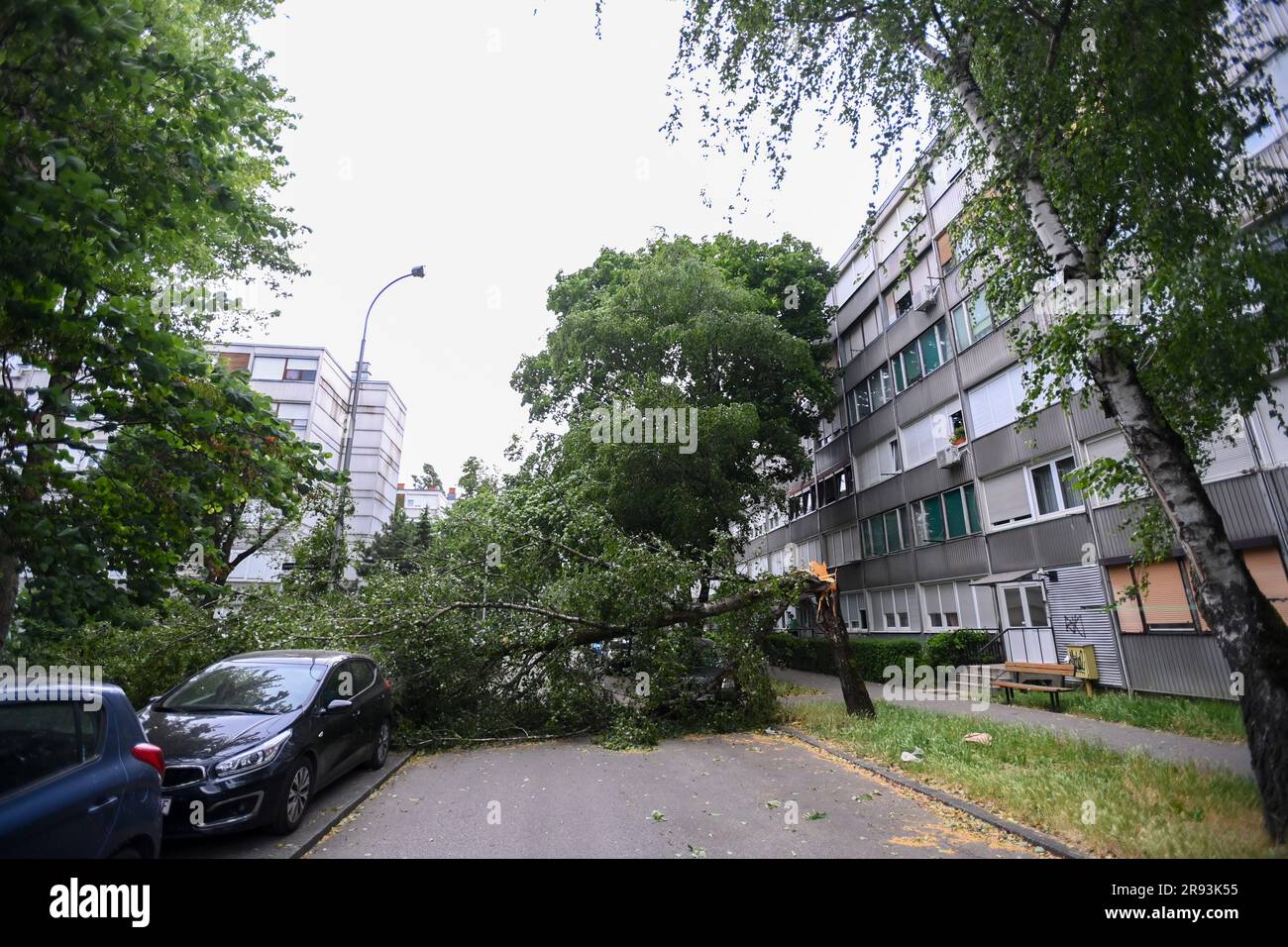 Zagabria, Croazia. 23 giugno 2023. Un falen tre si vede dopo una tempesta di vento che ha colpito Zagabria, Croazia, il 23 giugno 2023. Foto: Igor Soban/PIXSELL credito: Pixsell/Alamy Live News Foto Stock