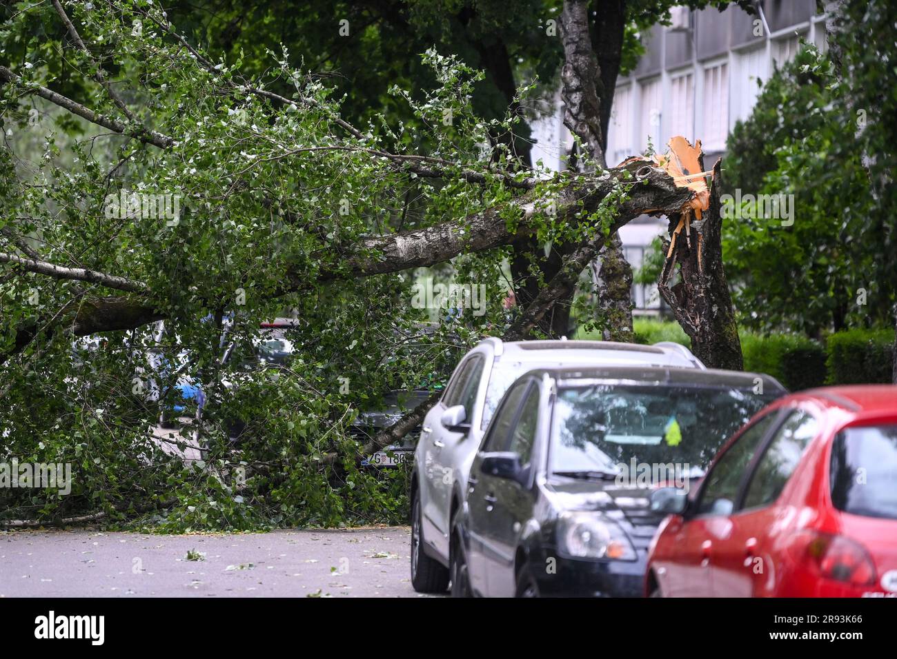 Zagabria, Croazia. 23 giugno 2023. Un falen tre si vede dopo una tempesta di vento che ha colpito Zagabria, Croazia, il 23 giugno 2023. Foto: Igor Soban/PIXSELL credito: Pixsell/Alamy Live News Foto Stock