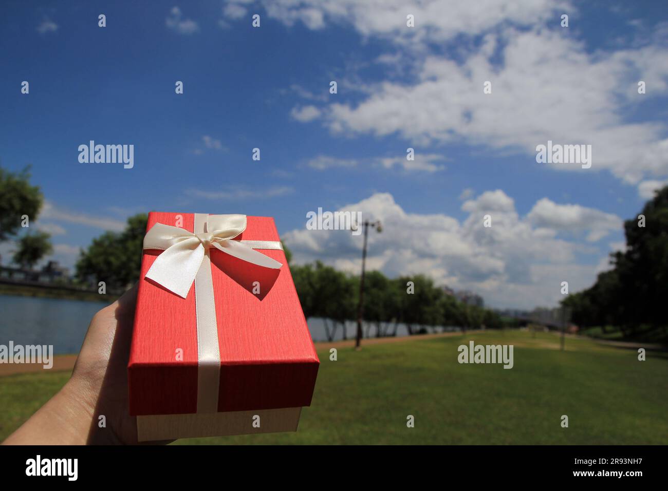 Il tema dei festeggiamenti e dei regali: Mano che regge un regalo avvolto in una scatola rossa con nastro bianco e fiocco Foto Stock