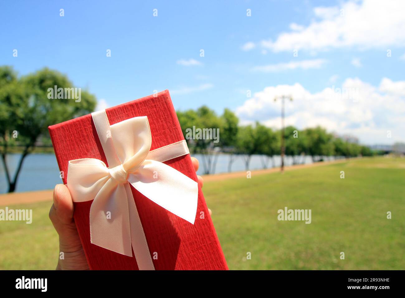 Il tema dei festeggiamenti e dei regali: Mano che regge un regalo avvolto in una scatola rossa con nastro bianco e fiocco Foto Stock