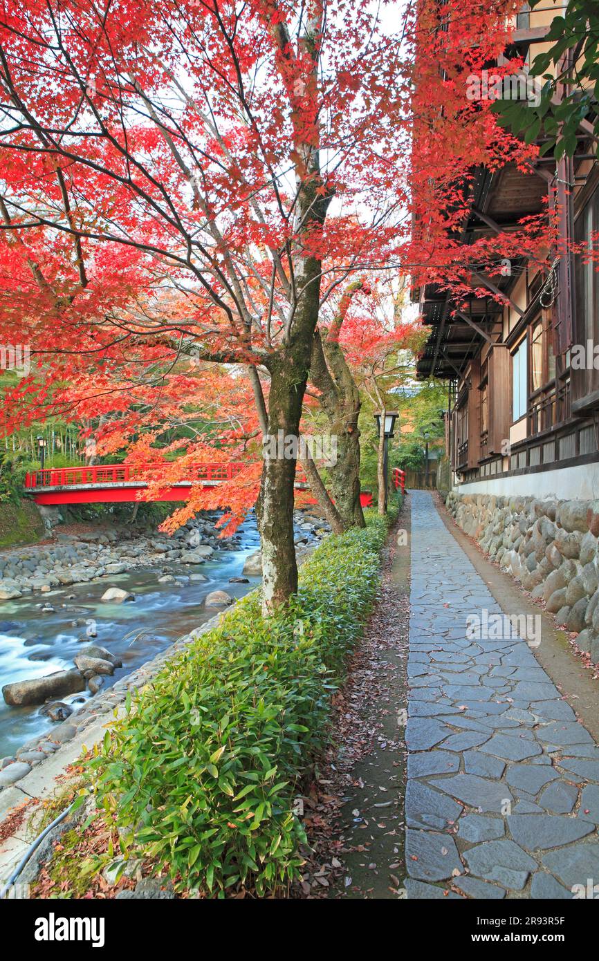 Shuzenji Onsen in foglie autunnali Foto Stock