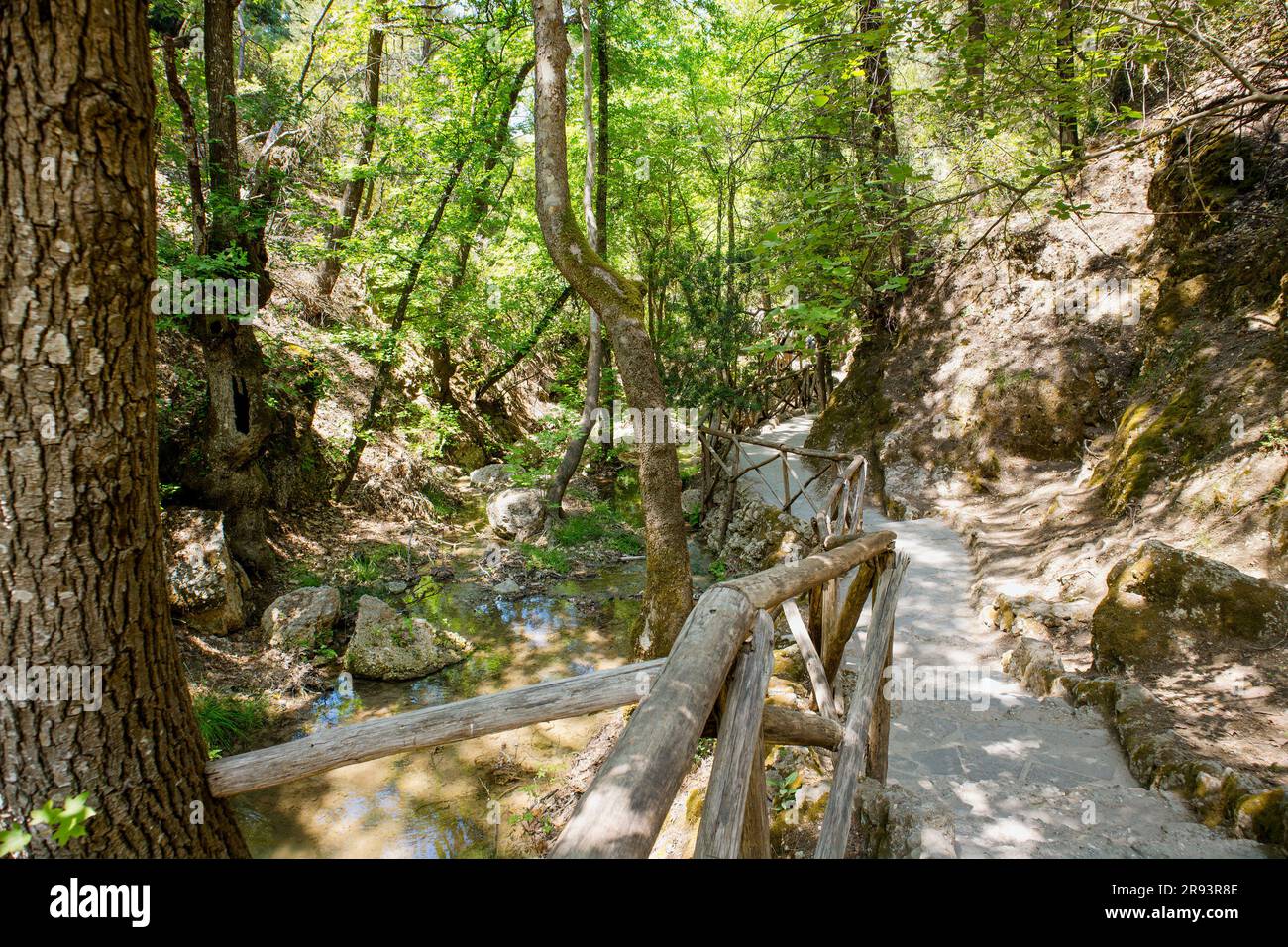 Butterfly Valley o Valley of Butterflies a Rodi, Grecia. Splendido parco con sentieri e ruscelli in estate. Foto Stock