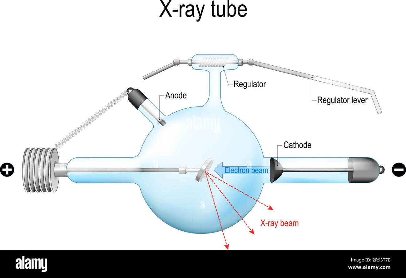 Tubo radiogeno Crookes. diagramma schematico strutturale di un tubo radiogeno utilizzato per radioterapia, radiografia medica e sicurezza aeroportuale. Diagnosi Illustrazione Vettoriale