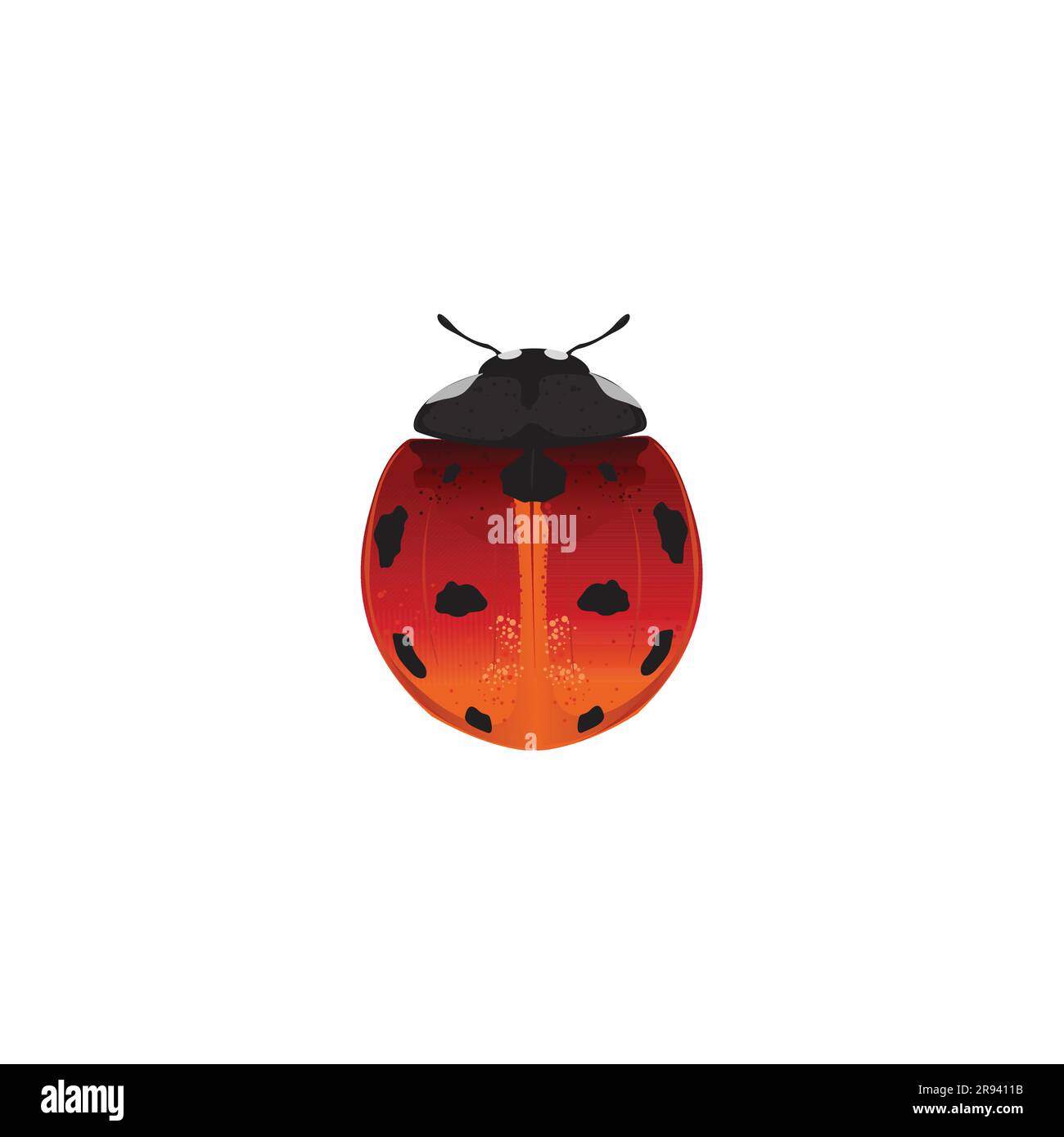Ladybug, Ladybird, Coccinellidae Insect, Bug Illustrazione Vettoriale