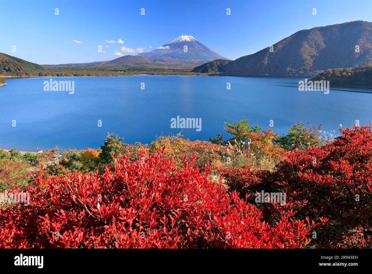 Foglie autunnali del lago Motosu e del monte Foto Stock