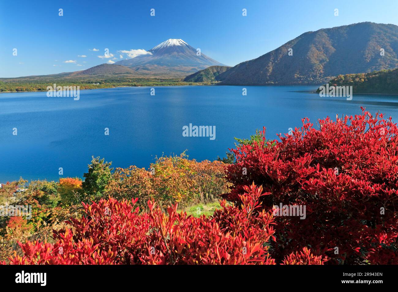 Foglie autunnali del lago Motosu e del monte Foto Stock