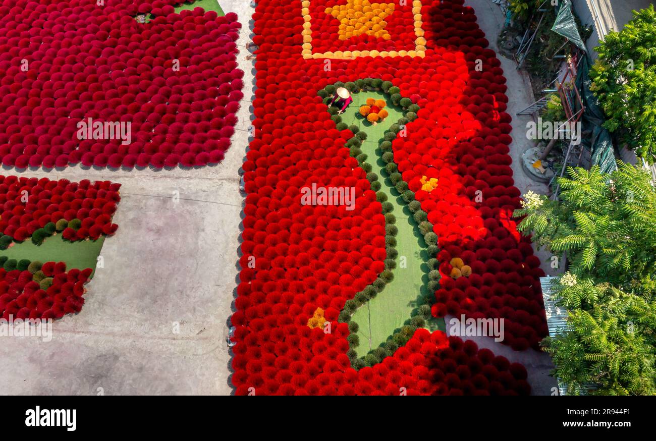 I tradizionali lavoratori del villaggio dell'incenso di Ung Hoa stanno facendo il processo di essiccazione dell'incenso. Questo è un famoso incenso artigianale mak Foto Stock